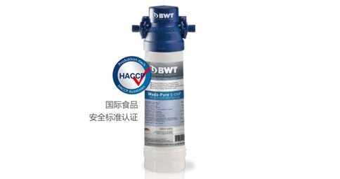BWT Woda-Pure s超能系列草莓视频在线视频器