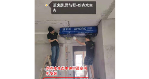 约克草莓视频在线观看网站两联供